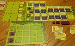 Agricola set-up